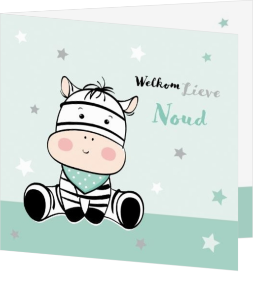 Neutrale geboortekaartjes ontwerpen - kaart 211021-00