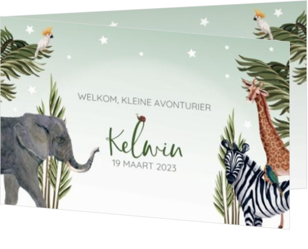 Geboortekaartje Kelwin - Jungle dieren