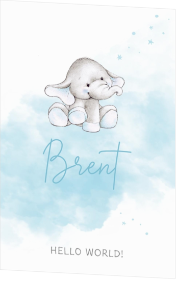 Geboortekaartje Brent - Olifantje