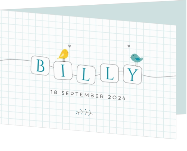 Geboortekaartje Billy - Blokjes met letters
