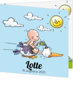 Stoer geboortekaartjes ontwerp - kaart Baby vliegt op ooievaar 114290BA