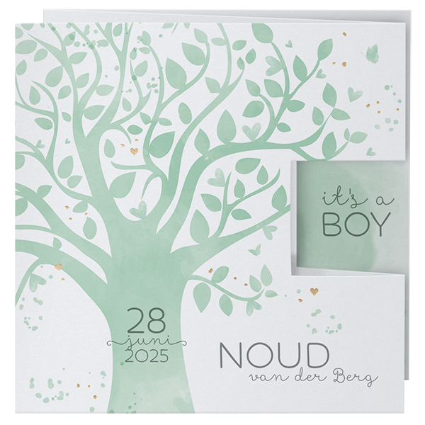 Geboortekaartje Noud - Aquarel boom 