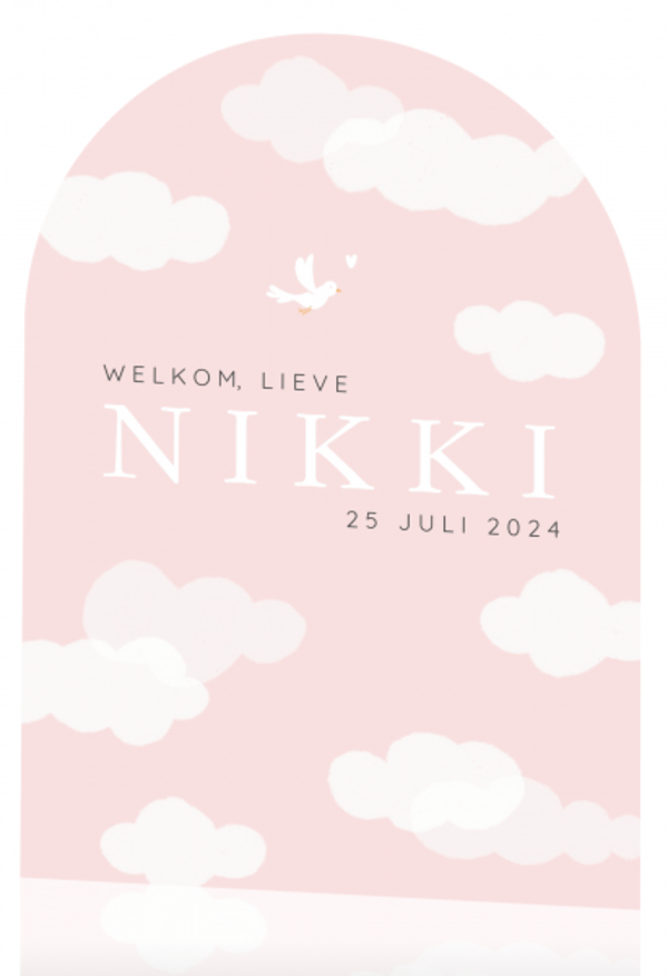 Geboortekaartje Nikki - In de roze wolken