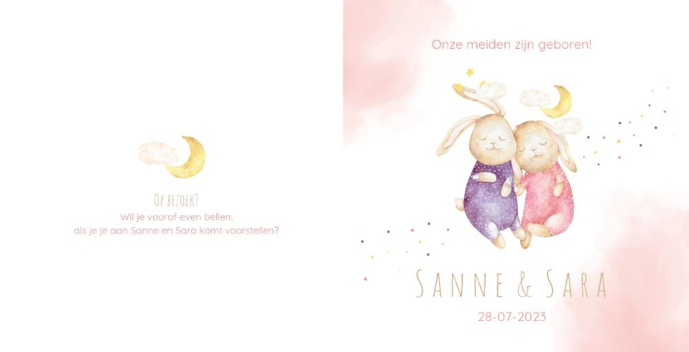 Geboortekaartje Sanne & Sara   Schattige konijntjes Achterkant/Voorkant