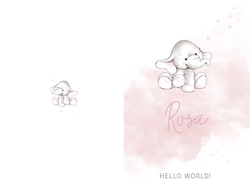 Geboortekaartje Rosa   Olifantje op roze wolk Achterkant/Voorkant
